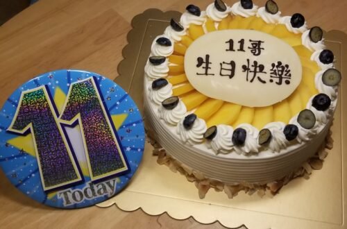 哥哥在愛爾蘭過的第一個生日 港式蛋糕