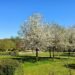 Spring in Ireland