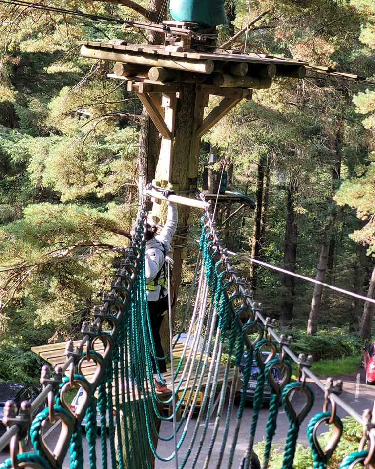 Zipit Forest Adventures Dublin Zipit Forest Adventures Dublin