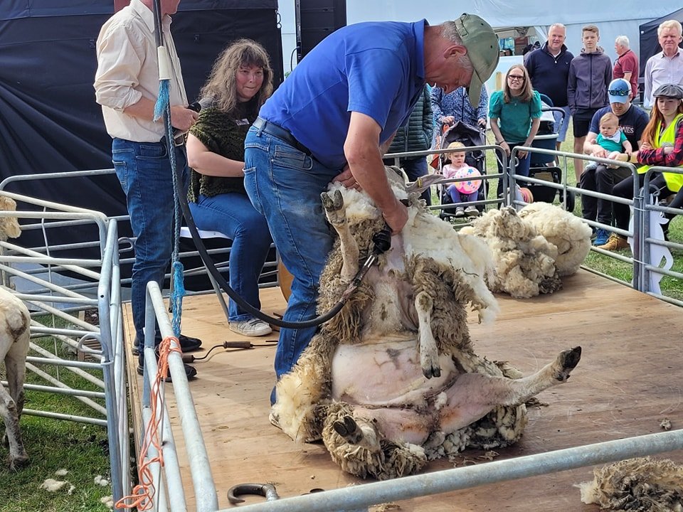 Sheepshearing Flavours Of Fingal County Show 2023