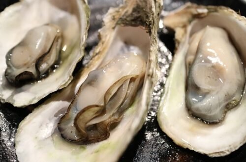 Sligo Oysters