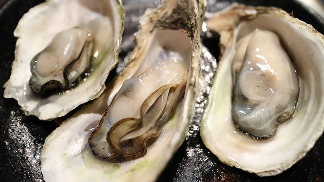 Sligo Oysters