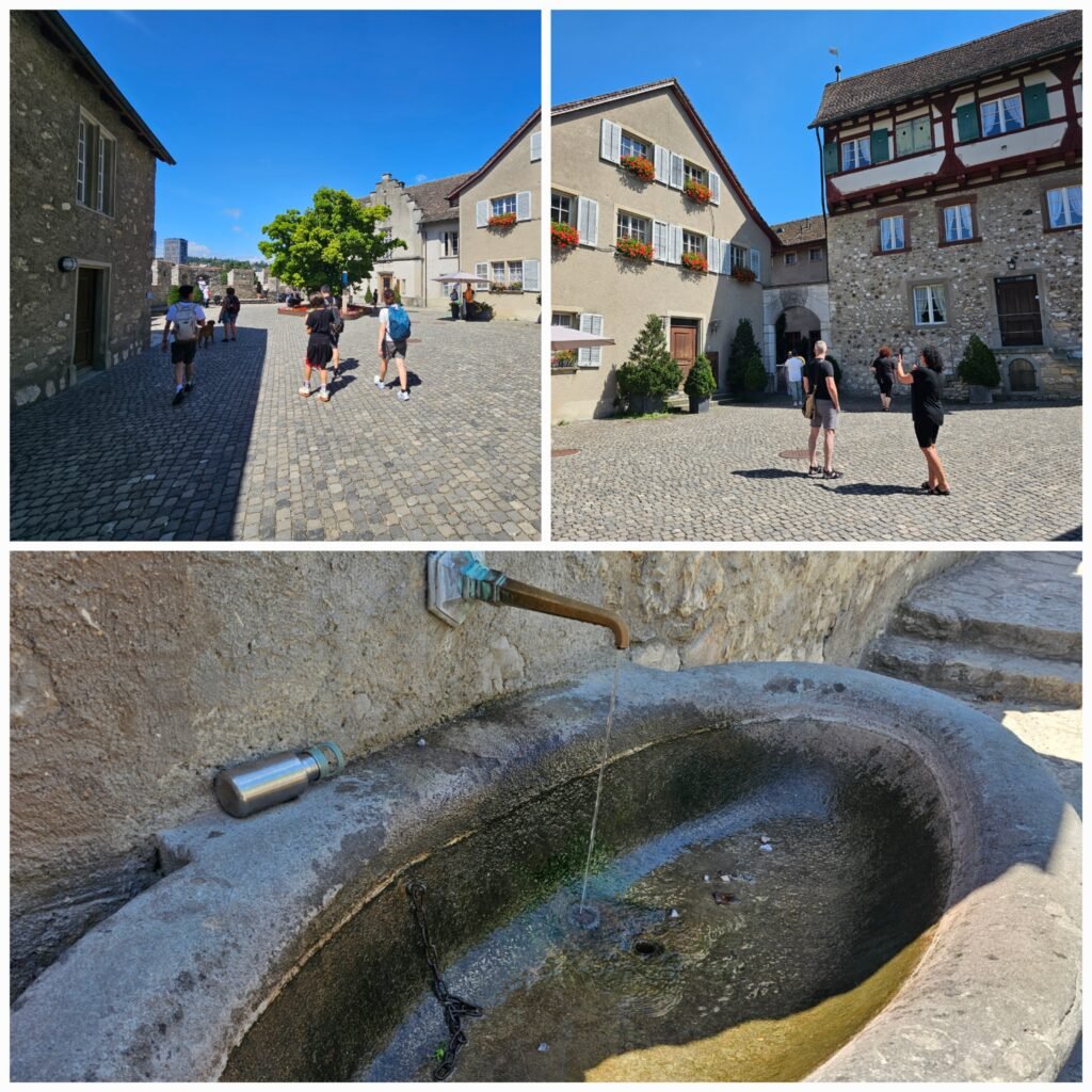 Schloss Laufen 勞芬城堡